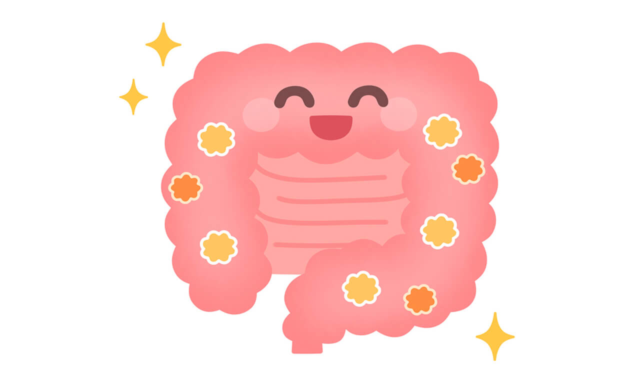 腸年齢チェック